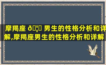 摩羯座 🦉 男生的性格分析和详解,摩羯座男生的性格分析和详解*